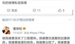 思聪爆料潘玮柏恋情视频,揭秘明星背后的情感纠葛