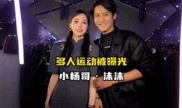 独家爆料小杨哥视频播放,小杨哥视频播放背后的惊人数据与现象