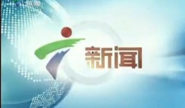 广东新闻频道爆料,揭秘重大事件背后真相