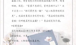 推文娱乐圈爆料的小说免费阅读,揭秘小说背后的秘密，免费阅读等你来探秘