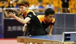 日本乒协家底爆料视频,独家爆料视频深度解析