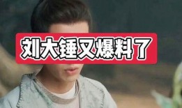 爆料明星八卦刘大锤视频,明星八卦视频背后的惊人真相