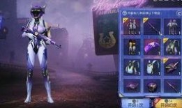 军需新皮肤最新爆料试水,揭秘神秘设计背后的故事