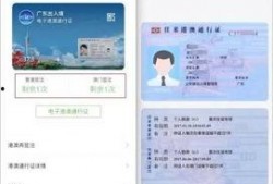 最新通行证爆料消息查询,揭秘未来出行新趋势与政策动向