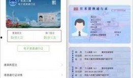 最新通行证爆料消息查询,揭秘未来出行新趋势与政策动向