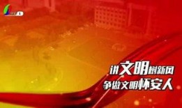 张家口同城最新爆料,揭秘同城热点事件背后的真相