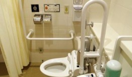 日本卫生间爆料视频,独特设计与文化内涵一窥究竟