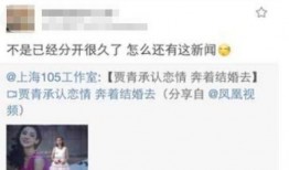 秦奋的身份爆料了吗视频,爆料视频背后的惊人真相