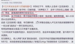 主播爆料卓仕琳视频,主播爆料背后的惊人真相