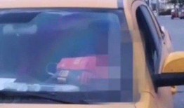 江油最新爆料新闻视频,视频揭露惊人真相，事件引发社会关注