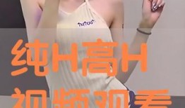 在线h视频观看,在线观看的视听盛宴